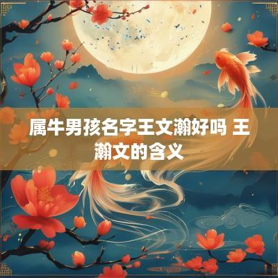 属牛男孩名字王文瀚好吗 王瀚文的含义
