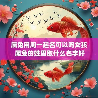 属兔用周一起名可以吗女孩 属兔的姓周取什么名字好