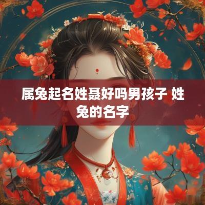 属兔起名姓聂好吗男孩子 姓兔的名字