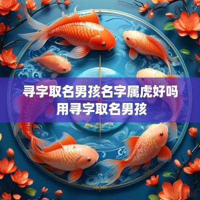寻字取名男孩名字属虎好吗 用寻字取名男孩