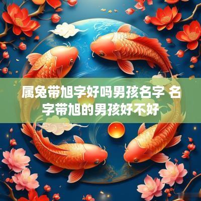 属兔带旭字好吗男孩名字 名字带旭的男孩好不好