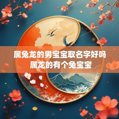 属兔龙的男宝宝取名字好吗 属龙的有个兔宝宝