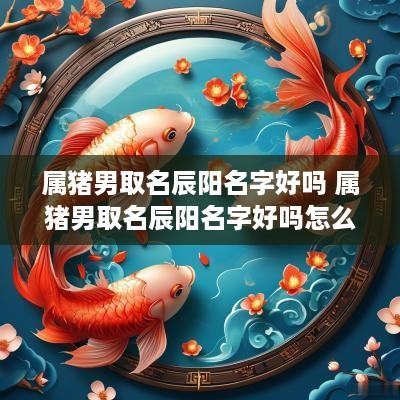 属猪男取名辰阳名字好吗 属猪男取名辰阳名字好吗怎么样