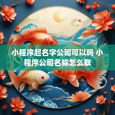 小程序起名字公司可以吗 小程序公司名称怎么取