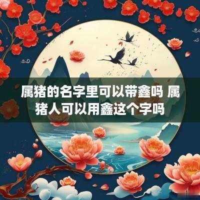 属猪的名字里可以带鑫吗 属猪人可以用鑫这个字吗