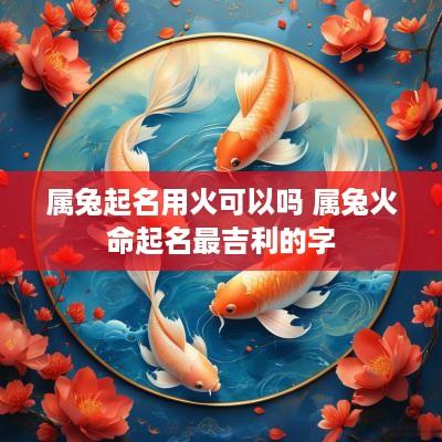 属兔起名用火可以吗 属兔火命起名最吉利的字