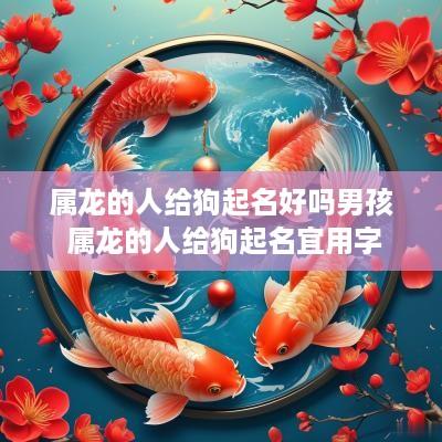 属龙的人给狗起名好吗男孩 属龙的人给狗起名宜用字