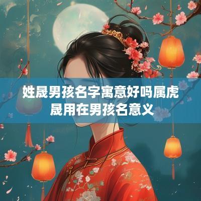 姓晟男孩名字寓意好吗属虎 晟用在男孩名意义