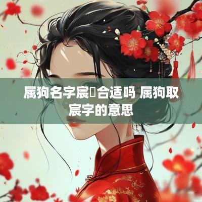 属狗名字宸祎合适吗 属狗取宸字的意思
