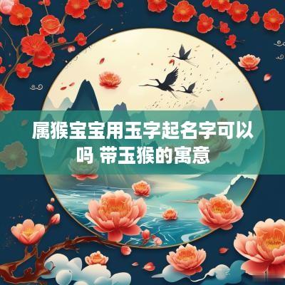 属猴宝宝用玉字起名字可以吗 带玉猴的寓意