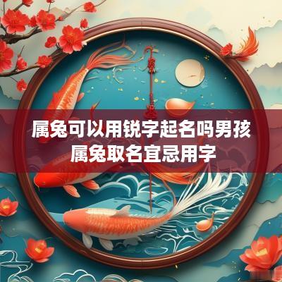 属兔可以用锐字起名吗男孩 属兔取名宜忌用字