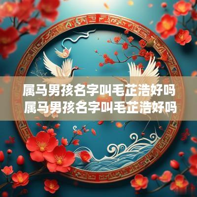 属马男孩名字叫毛芷浩好吗 属马男孩名字叫毛芷浩好吗好听吗