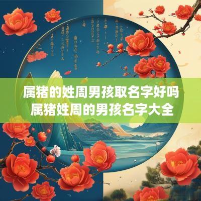 属猪的姓周男孩取名字好吗 属猪姓周的男孩名字大全