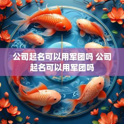 公司起名可以用军团吗 公司起名可以用军团吗