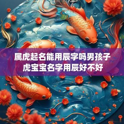 属虎起名能用辰字吗男孩子 虎宝宝名字用辰好不好