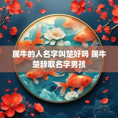属牛的人名字叫楚好吗 属牛楚辞取名字男孩