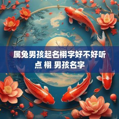 属兔男孩起名栩字好不好听点 栩 男孩名字