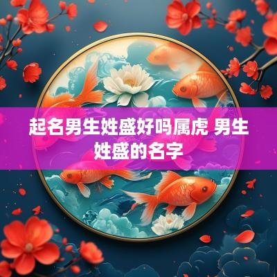 起名男生姓盛好吗属虎 男生姓盛的名字