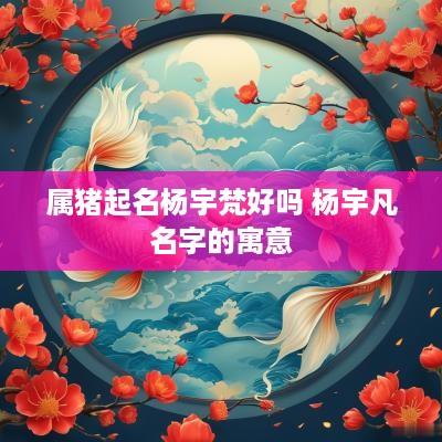 属猪起名杨宇梵好吗 杨宇凡名字的寓意