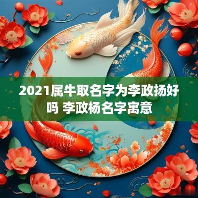 2025属牛取名字为李政扬好吗 李政杨名字寓意