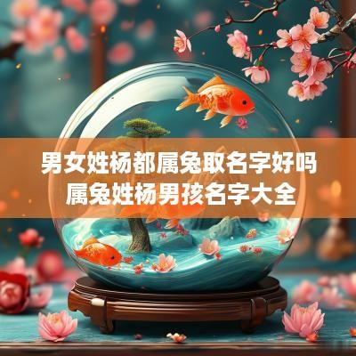 男女姓杨都属兔取名字好吗 属兔姓杨男孩名字大全