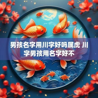 男孩名字用川字好吗属虎 川字男孩用名字好不