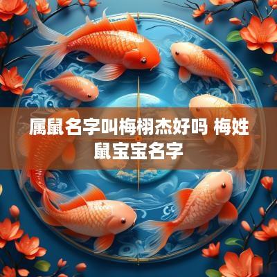 属鼠名字叫梅栩杰好吗 梅姓鼠宝宝名字