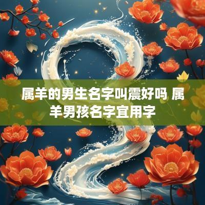 属羊的男生名字叫震好吗 属羊男孩名字宜用字
