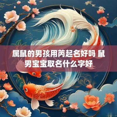 属鼠的男孩用芮起名好吗 鼠男宝宝取名什么字好