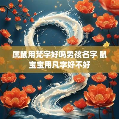 属鼠用梵字好吗男孩名字 鼠宝宝用凡字好不好