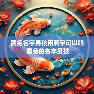 属兔名字男孩用腾字可以吗 属兔的名字男孩