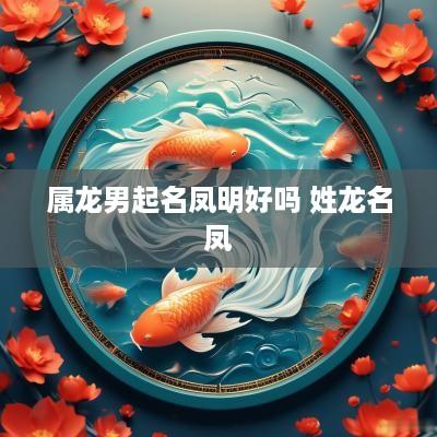 属龙男起名凤明好吗 姓龙名凤