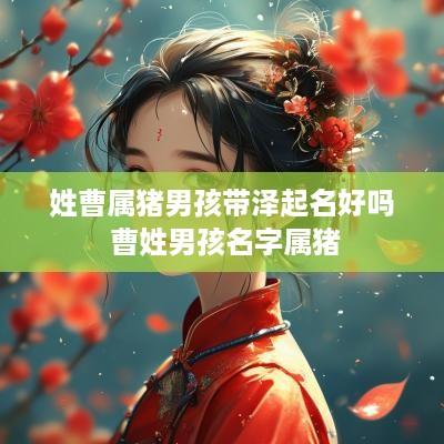 姓曹属猪男孩带泽起名好吗 曹姓男孩名字属猪