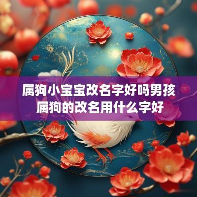 属狗小宝宝改名字好吗男孩 属狗的改名用什么字好