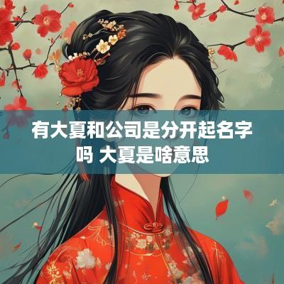 有大夏和公司是分开起名字吗 大夏是啥意思