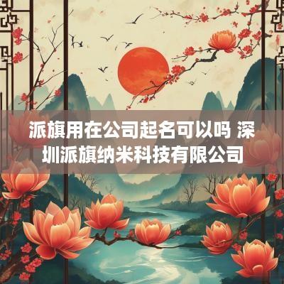 派旗用在公司起名可以吗 深圳派旗纳米科技有限公司