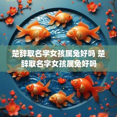楚辞取名字女孩属兔好吗 楚辞取名字女孩属兔好吗