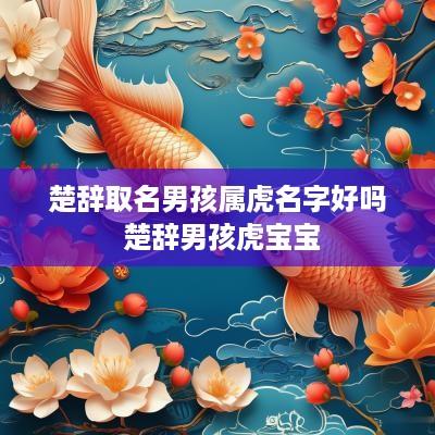 楚辞取名男孩属虎名字好吗 楚辞男孩虎宝宝