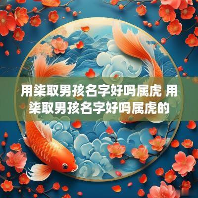 用柒取男孩名字好吗属虎 用柒取男孩名字好吗属虎的