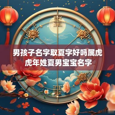 男孩子名字取夏字好吗属虎 蛇年姓夏男宝宝名字