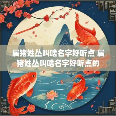 属猪姓丛叫啥名字好听点 属猪姓丛叫啥名字好听点的
