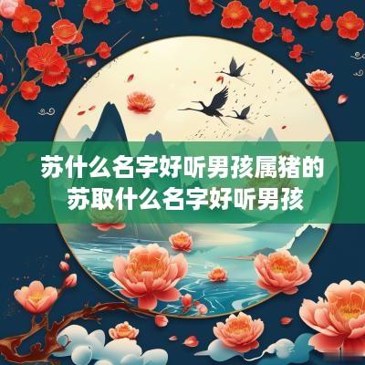苏什么名字好听男孩属猪的 苏取什么名字好听男孩