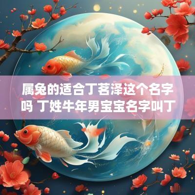 属兔的适合丁茗泽这个名字吗 丁姓蛇年男宝宝名字叫丁茗泽
