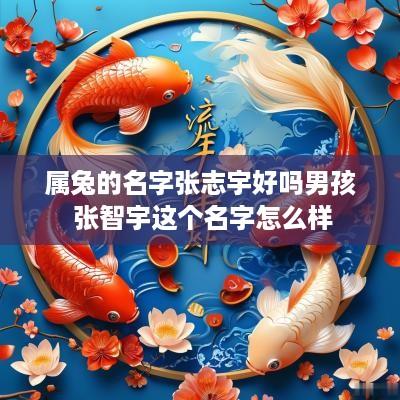 属兔的名字张志宇好吗男孩 张智宇这个名字怎么样