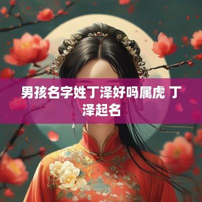 男孩名字姓丁泽好吗属虎 丁泽起名