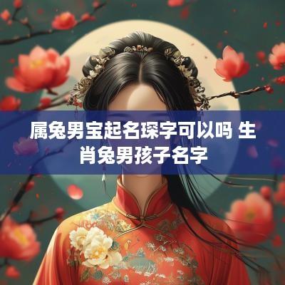 属兔男宝起名琛字可以吗 生肖兔男孩子名字