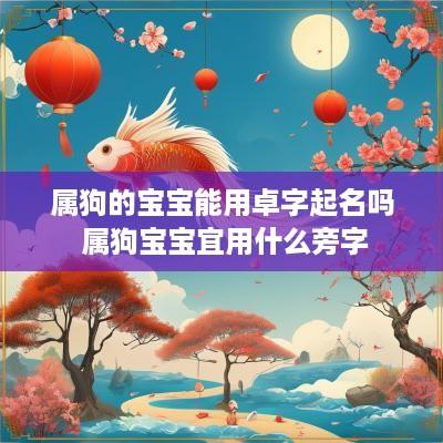 属狗的宝宝能用卓字起名吗 属狗宝宝宜用什么旁字