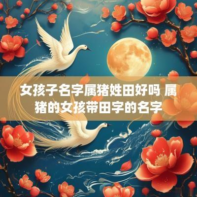 女孩子名字属猪姓田好吗 属猪的女孩带田字的名字