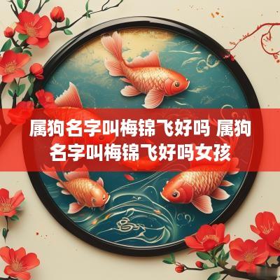 属狗名字叫梅锦飞好吗 属狗名字叫梅锦飞好吗女孩