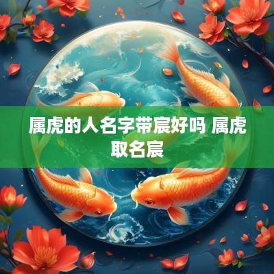 属虎的人名字带宸好吗 属虎取名宸